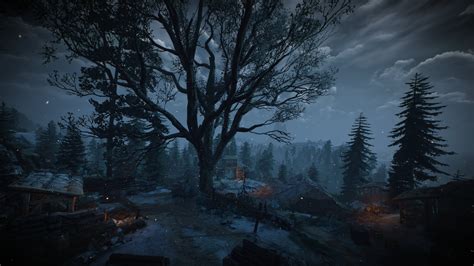 Silhouette Of Trees Wallpaper The Witcher Wild Hunt Video Games