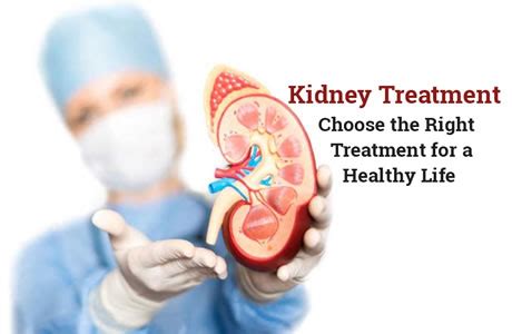 Kidney Treatment – Choose the Right Treatment for a Healthy Life - Kundan Kidney Care Centre