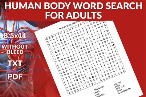 Human Body Word Search Puzzles Graphic By Printile Press House · Creative Fabrica