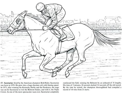 Thoroughbred Coloring Pages At Free Printable