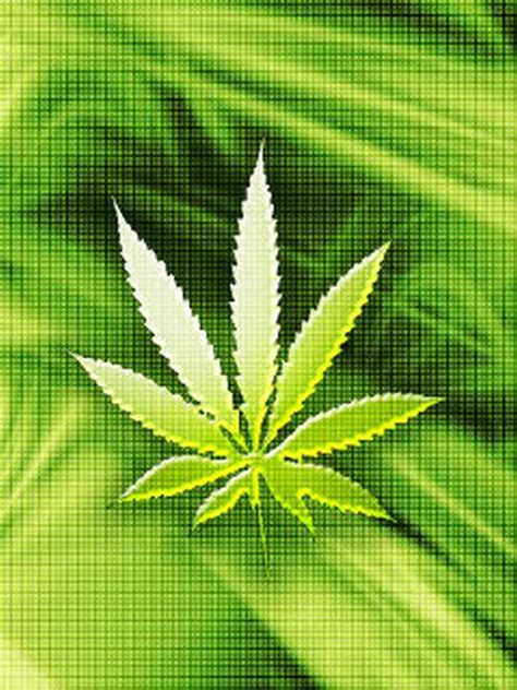 Marijuana Wallpapers HD - WallpaperSafari