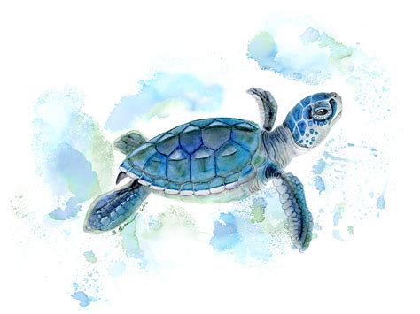 Baby Sea Turtle Drawing at PaintingValley.com | Explore collection of ...