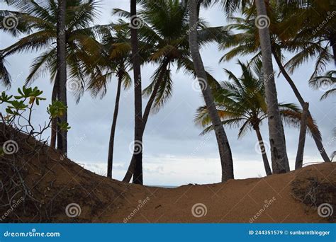 Beach Outside of Margaritaville Resort Puerto Rico Stock Image - Image ...