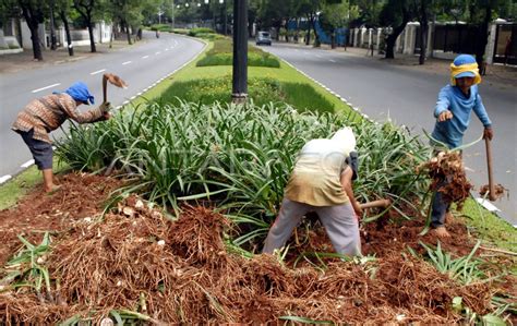 Jalur Hijau Antara Foto