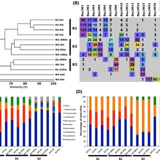 Dendrogram Based On Bray Curtis Similarity Between Bacterial