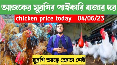 আজকের মুরগির পাইকারি বাজার দর। Wholesale Chicken Price Today Youtube