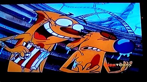 Catdog Nicktoons 2018 Youtube