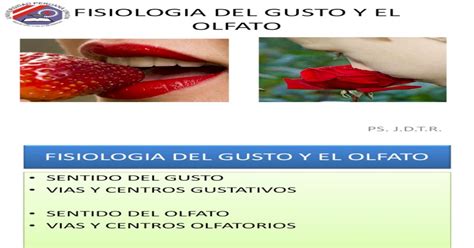 FISIOLOGIA DEL GUSTO Y EL OLFATO Pdf PDF Document