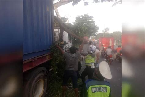 Pohon Tumbang Timpa Kontainer Di Purwodadi Jalan Sempat Macet Radar