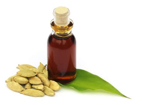 Therapeutic Cardamom Essential oil at bulk prices @ at online...