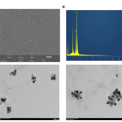 A SEM Images Of CM AgNPs 200 Nm B EDX Spectra Of CM AgNPs C