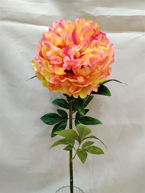 HR8048 Peony Artificial Flower Real Touch Large Single Silk Peonies