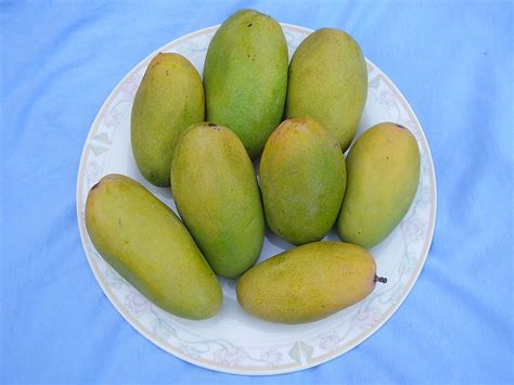 Different Types Of Mangoes In India You Should Know About Devgad Mango