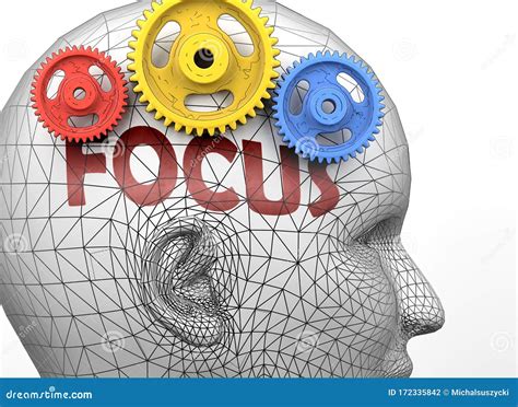 Focus And Human Mind Pictured As Word Focus Inside A Head To