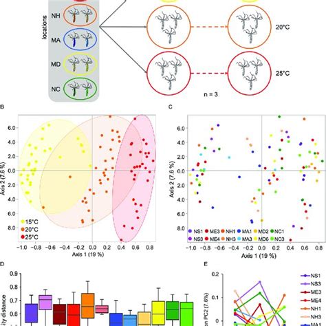 Influence Of Host Genotype And Temperature On Bacterial Colonization