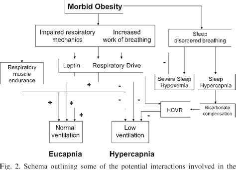 Figure From Pulmonary Physiology And Pathophysiology In Obesity Big