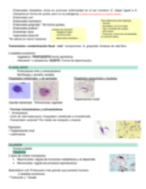 SOLUTION 2 Generalidades Protozoarios Y Helmintos R Studypool