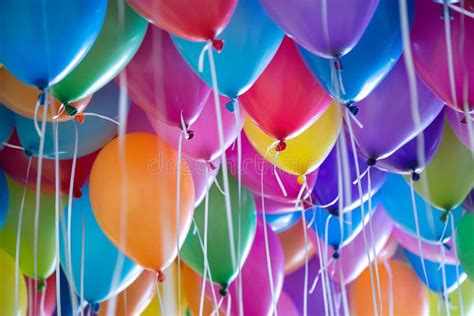 Festive Colorful Balloons With Helium Attachment To The White Ribbons