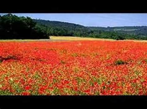 Green Fields Of France By John McDermott YouTube