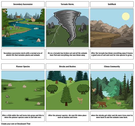 Succession Storyboard By 66612dec