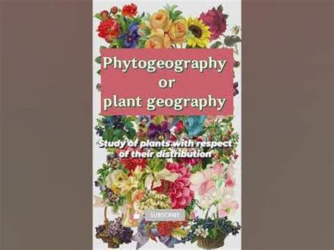 Phytogeography or Plant Geography - Biology Vocabulary | Insights ...