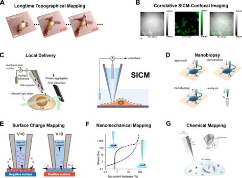 Sicm Depicted In The Center For Constant Distance Imaging Using The