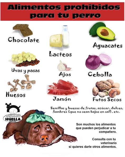 Alimentos Prohibidos Para Nuestros Perros Dejando Huella Albacete