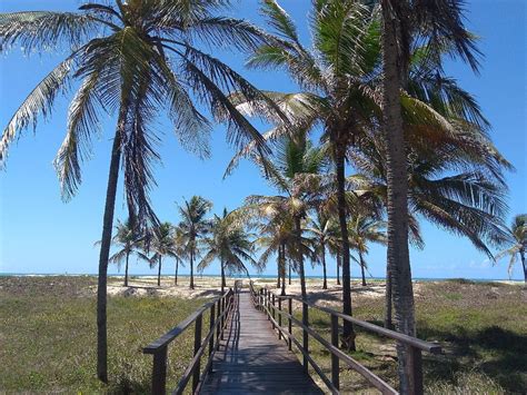 Passarela Do Caranguejo Aracaju 2023 Qué Saber Antes De Ir Lo Más