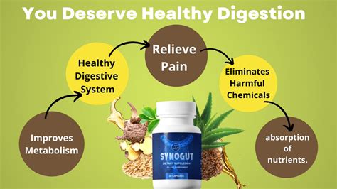 SynoGut® | OFFICIAL SITE - 100% All Natural