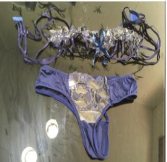 Pcs Cutout Sheer Mesh Frill Hem Heart Embroidery Lingerie Set