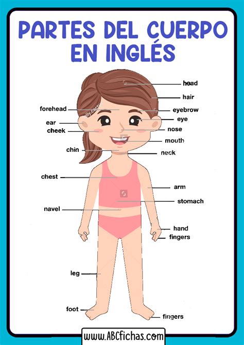 Partes Del Cuerpo En Ingles