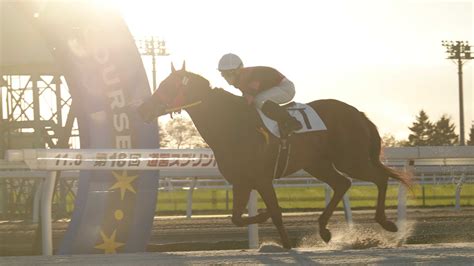 シーズンがおわり、そしてこれから 地方競馬の楽天競馬｜日替わりライターブログ 楽天ブログ