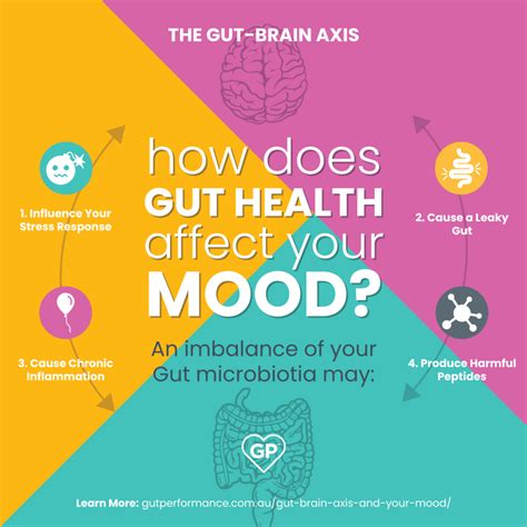 Gut Brain Axis And Your Mood Gut Performance