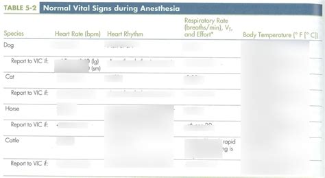 Vt Normal Vital Signs During Anesthesia Sanders Diagram Quizlet