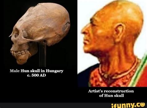 Male Hun Skull In Hungary 500 Ad Artists Reconstruction Of Hun Skull