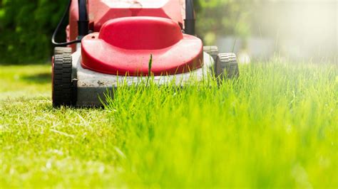 Why You Shouldn T Mow A Wet Lawn Lifehacker