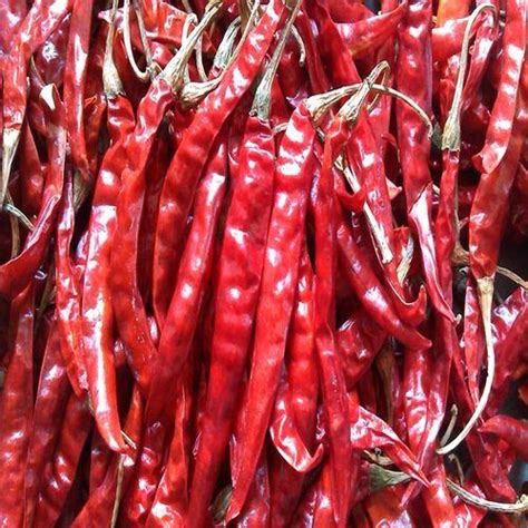 Piece Percent Pure And Organic A Grade Spicy Raw Dried Red Chilli