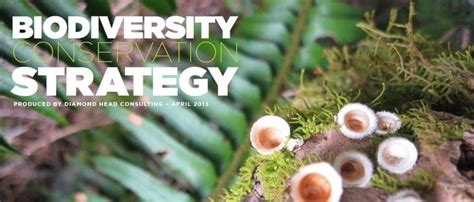 17 Strategies Of Conservation Of Biodiversity Ideas In 2022 Biodiversity Conservation