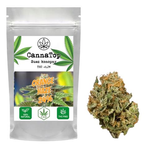 20G ORANGE HAZE CBD 24 Susz Konopny Marihuana 11577774367