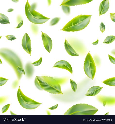 847 Background Green Tea For FREE - MyWeb