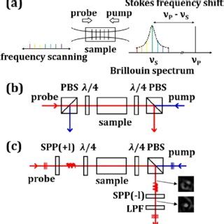 Schematic Diagrams A Pump Probe Technique B Collinear