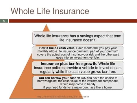 Life Insurance 101 Basics For Beginners