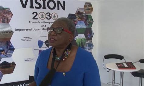 Zimbabwe Mary Mubi Vision 2030 The Insider