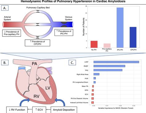 Prevalence And Haemodynamic Profiles Of Pulmonary Hypertension In Cardiac Amyloidosis Open Heart