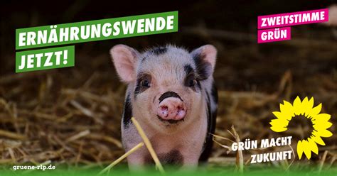 Landtagswahl 2021 Ernährungswende JETZT Grünen Speyer