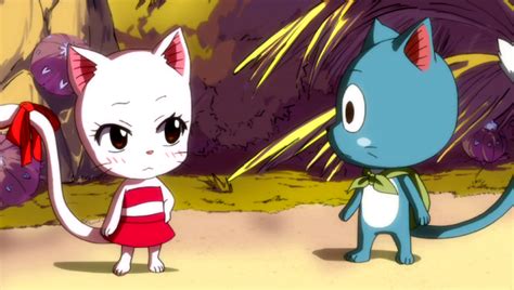 Fairy Tail Happy And Carla