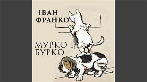 Мурко і Бурко - Початок & Мурко і Бурко.1 - Мурко і Бурко - YouTube