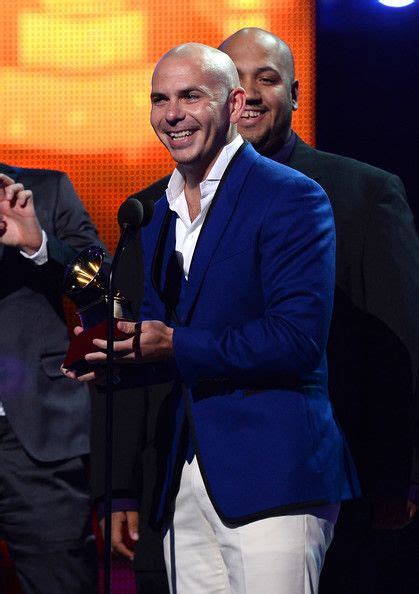 Pitbull Photostream | Pitbull photos, Grammy, Pitbulls