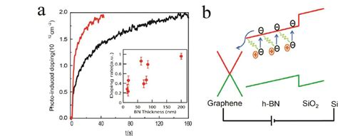 Dynamics And Origin Of Photo Induced Modulation Doping Effect