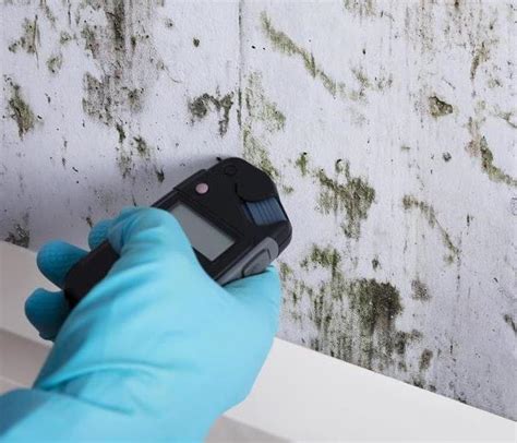 Are Home Mold Testing Kits Accurate? | SERVPRO of Stillwater & Guthrie